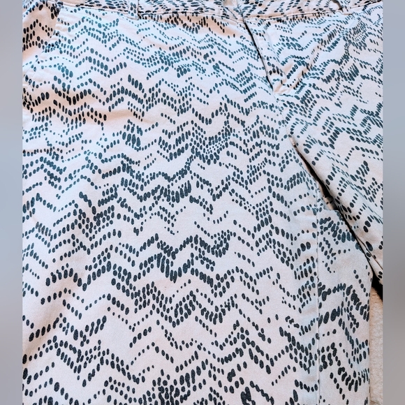 Gap Black and White Zig Zag Dotted Pattern skinny khakis - ankle Pants - Size 10 - Picture 2 of 5